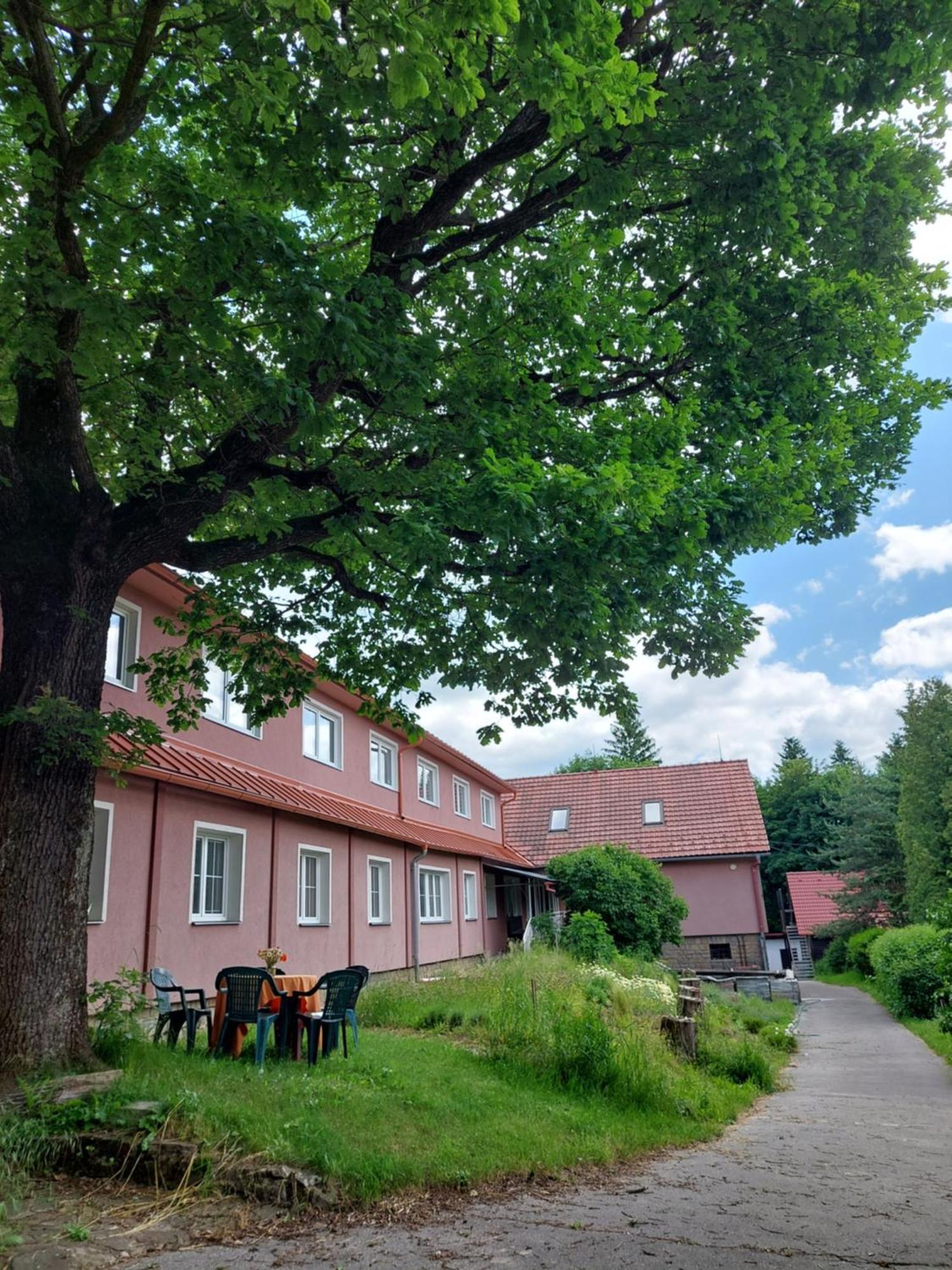 Monte Lope Hotel Bystrice pod Lopenikem Exterior photo